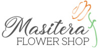 Logo_Masitera