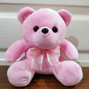 Pink Teddy Bear